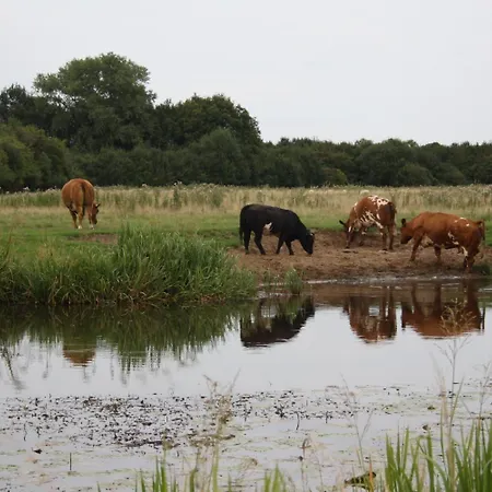 Hotel Koolen Velp (Noord-Brabant)