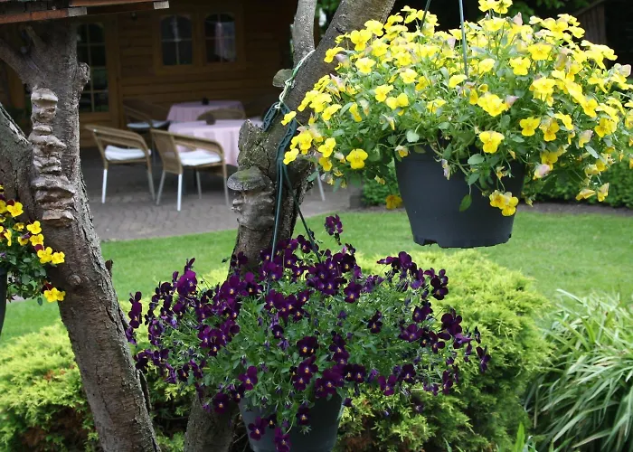 Koolen Ξενοδοχείο 2*