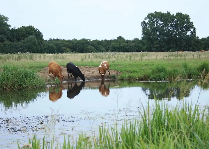 Ξενοδοχείο Koolen