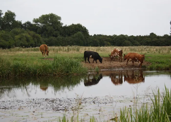 Hotel Koolen Velp (Noord-Brabant)