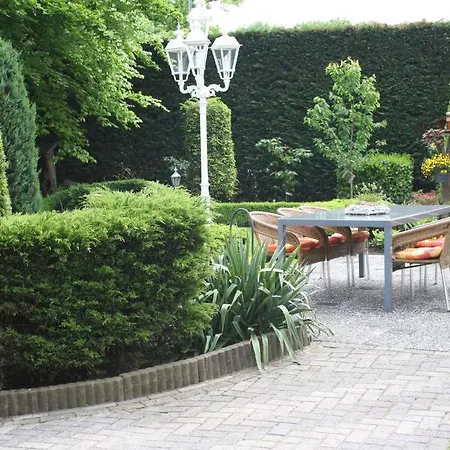 Koolen Velp (Noord-Brabant)