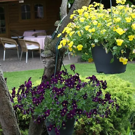 Hotell Koolen Velp (Noord-Brabant)