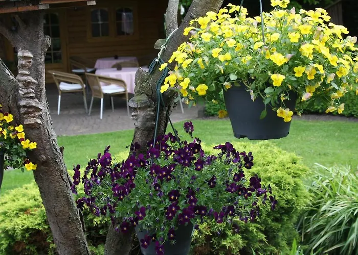 Hotel Koolen Velp (Noord-Brabant)